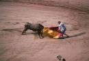 Bull Fight, Madrid